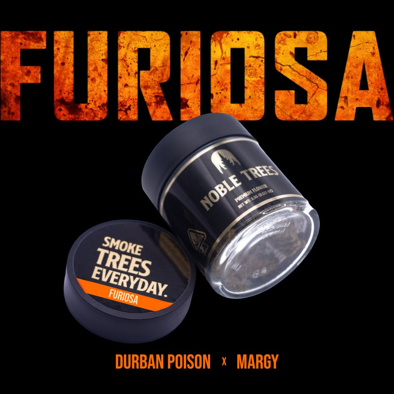 Case - Noble Trees - 3.5g Premium: Furiosa (Sativa)