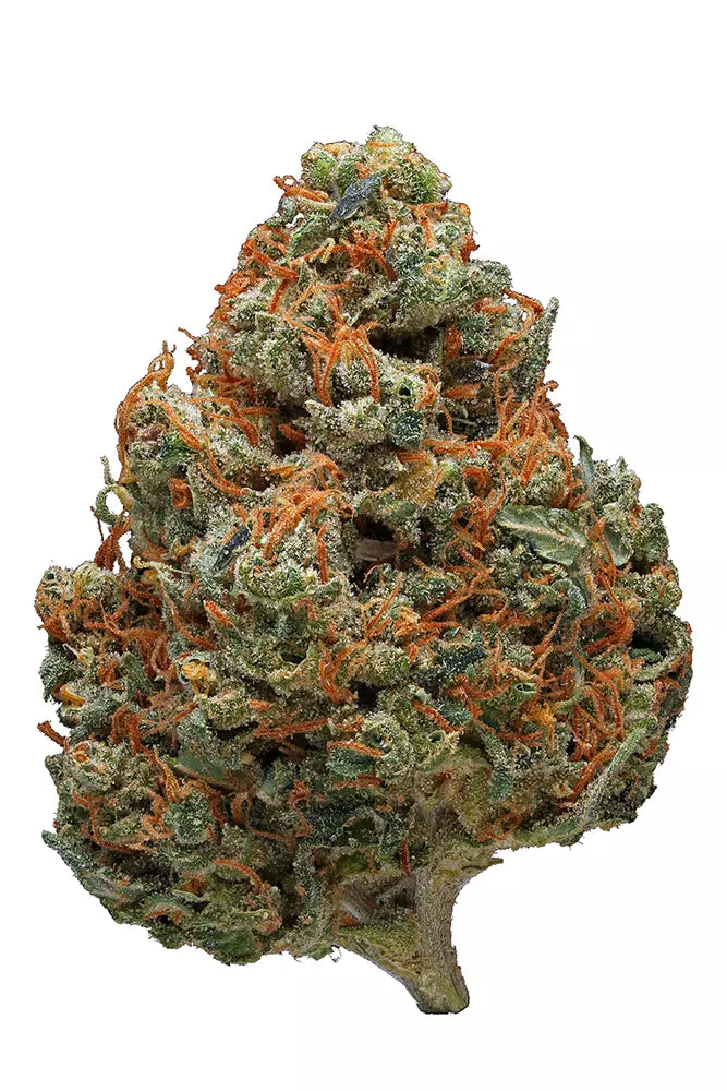 Case - Noble Trees - 3.5g Premium: Pure Venom (Sativa)